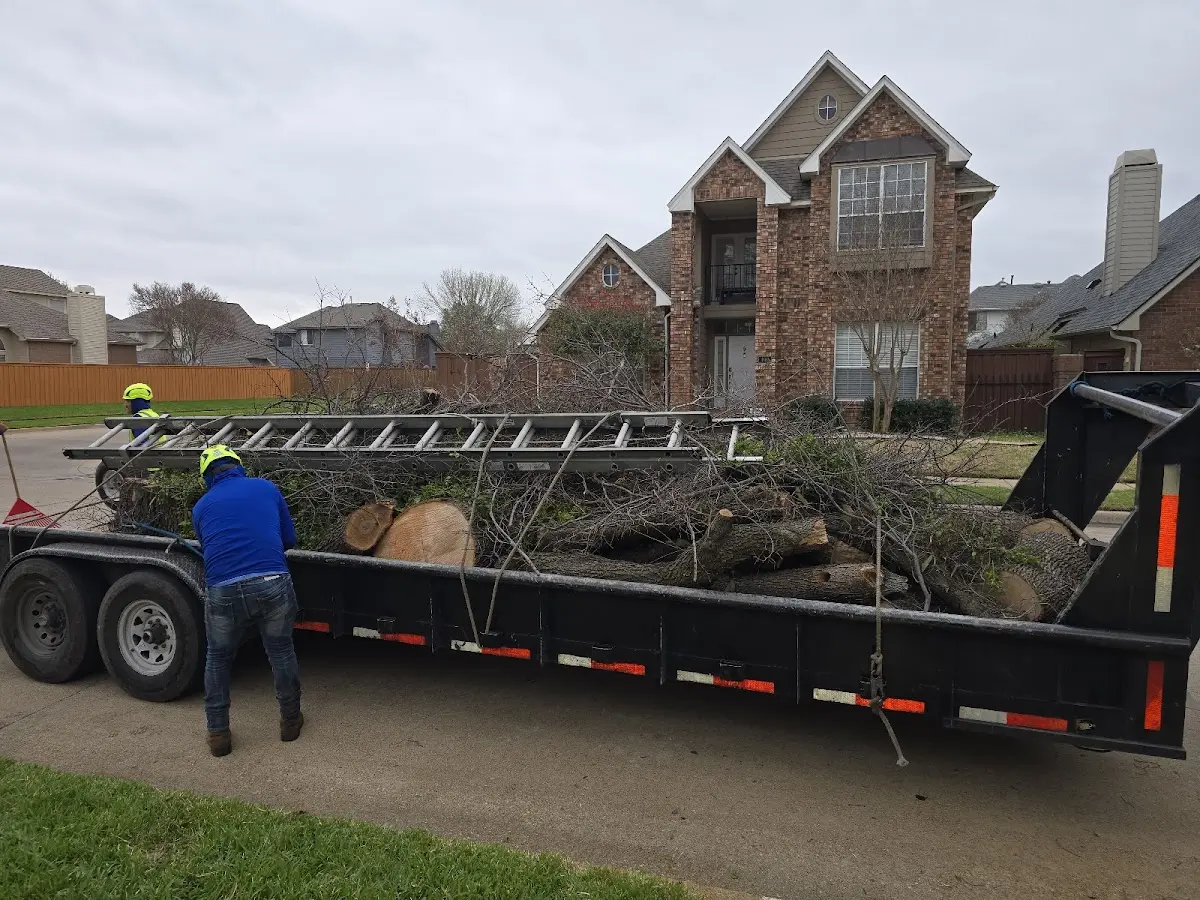Expert Lot Clearing with proper safety equipment in Sublette